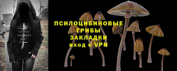 мет Верхний Тагил